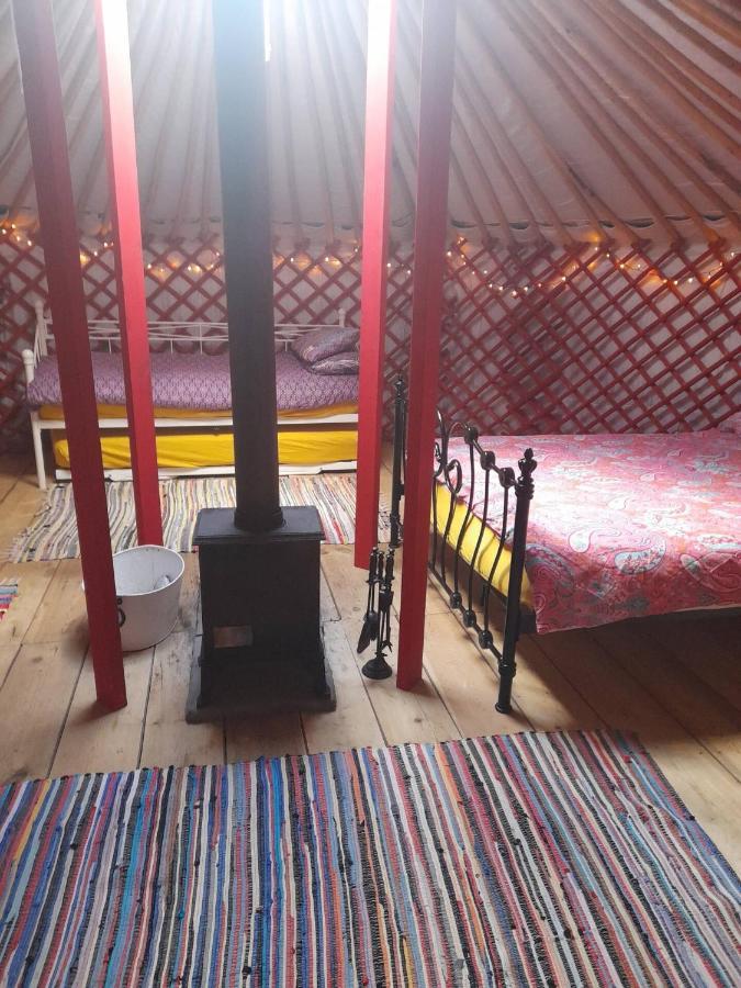 Отель Alder Yurt Wych Elm Glamping Хелстон Экстерьер фото