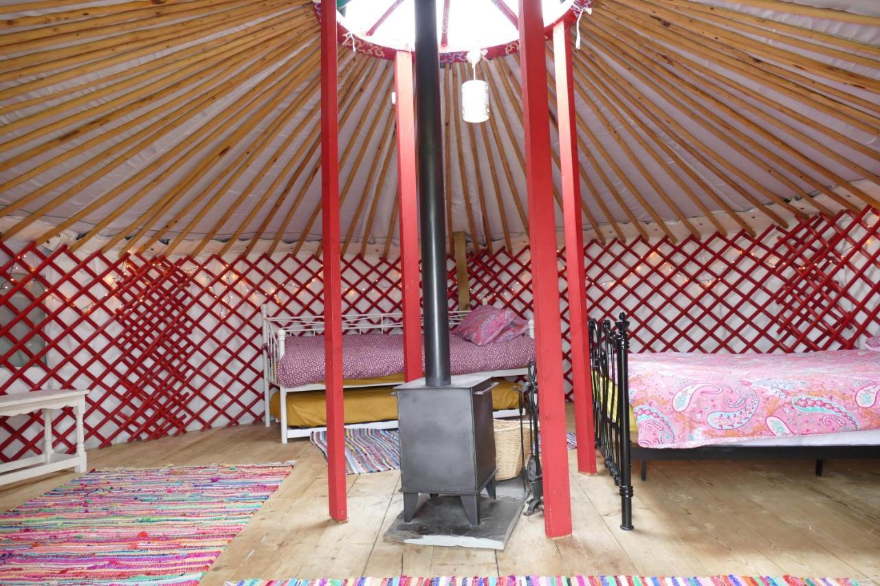 Отель Alder Yurt Wych Elm Glamping Хелстон Экстерьер фото