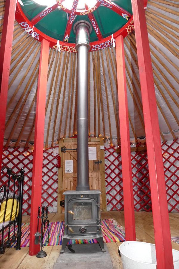 Отель Alder Yurt Wych Elm Glamping Хелстон Экстерьер фото